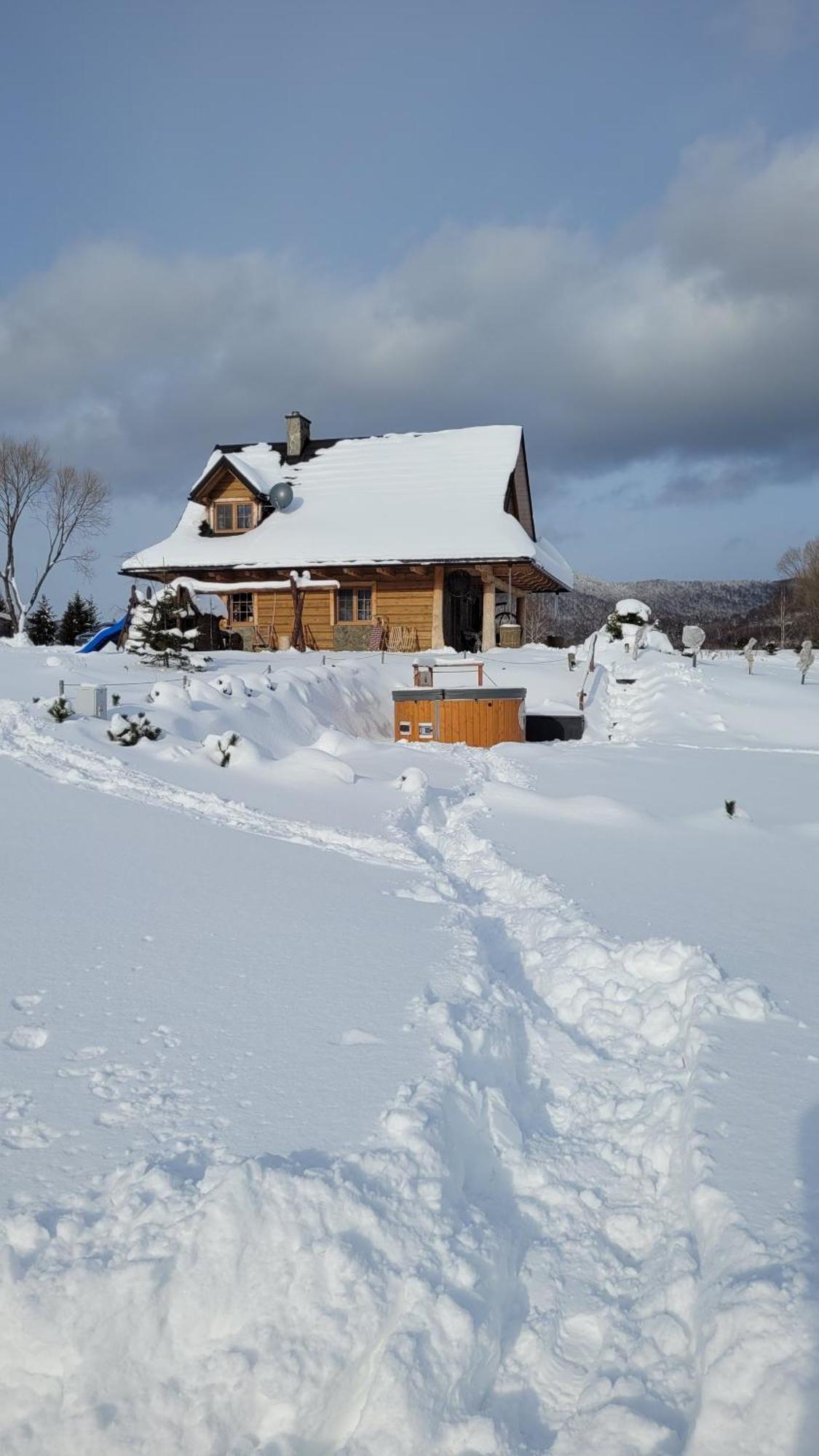 Odludomki