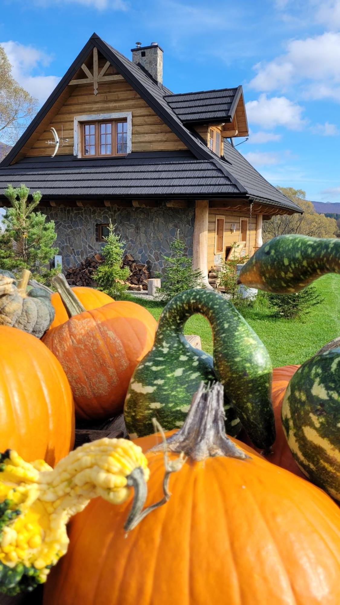 Chalet Odludomki *