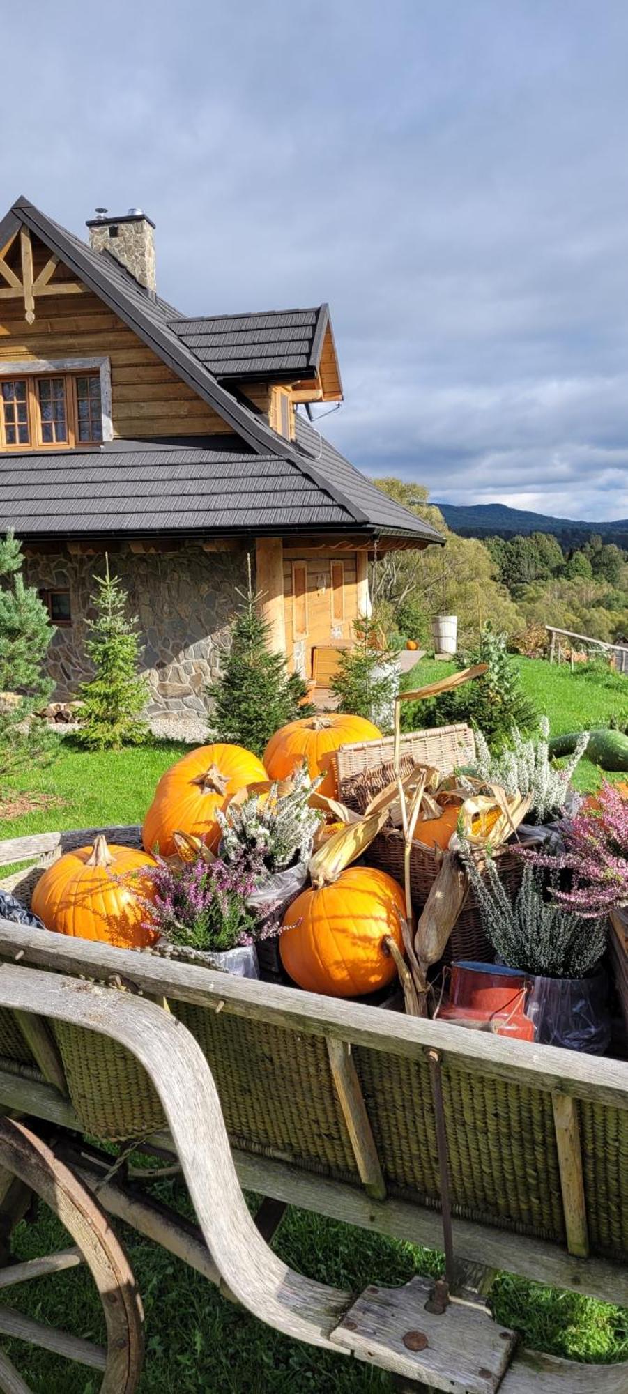 Odludomki Chalet